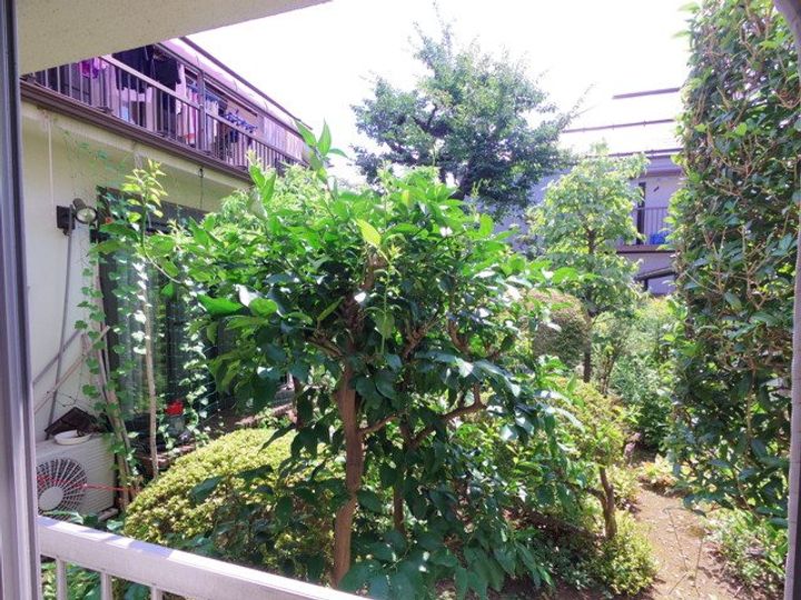 北河荘の内装