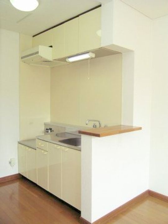 ビリオネア南郷のキッチン