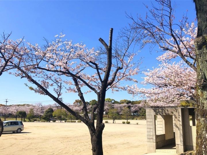 清友ビルB棟の周辺
