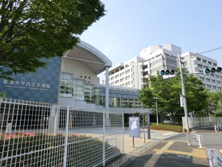 東京都八王子市大谷町(一戸建)の賃貸物件の周辺