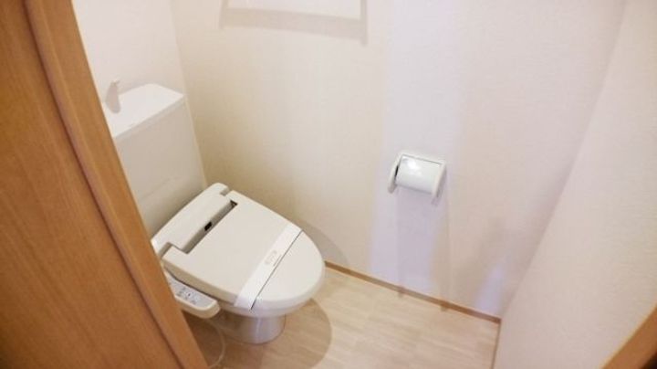 埼玉県草加市新里町(アパート)の賃貸物件の内装