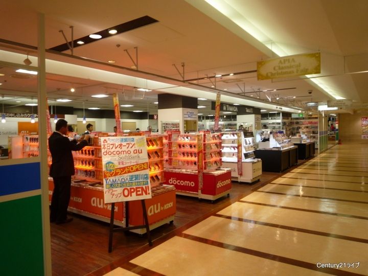 レジーナ逆瀬川の周辺