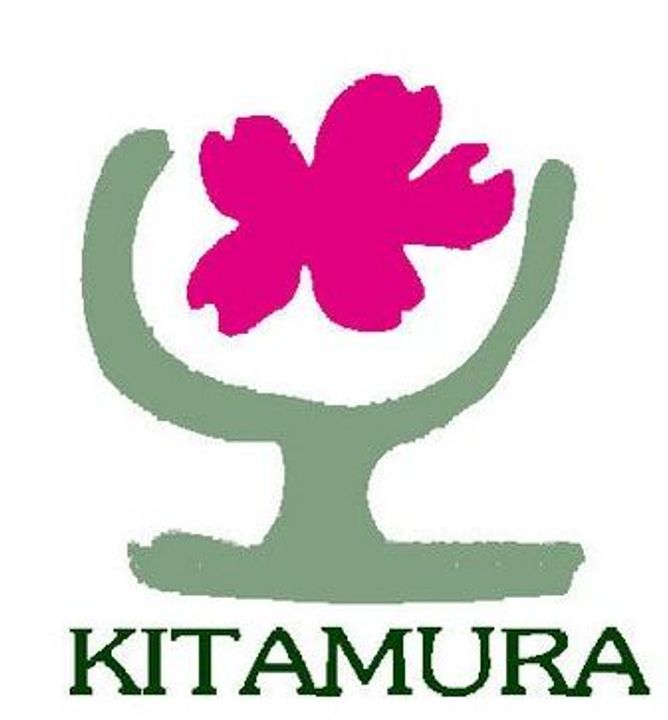 東京都大田区南馬込6(マンション)の賃貸物件の周辺