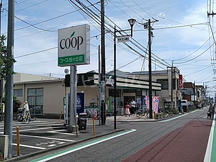 神奈川県茅ヶ崎市ひばりが丘(一戸建)の賃貸物件の周辺