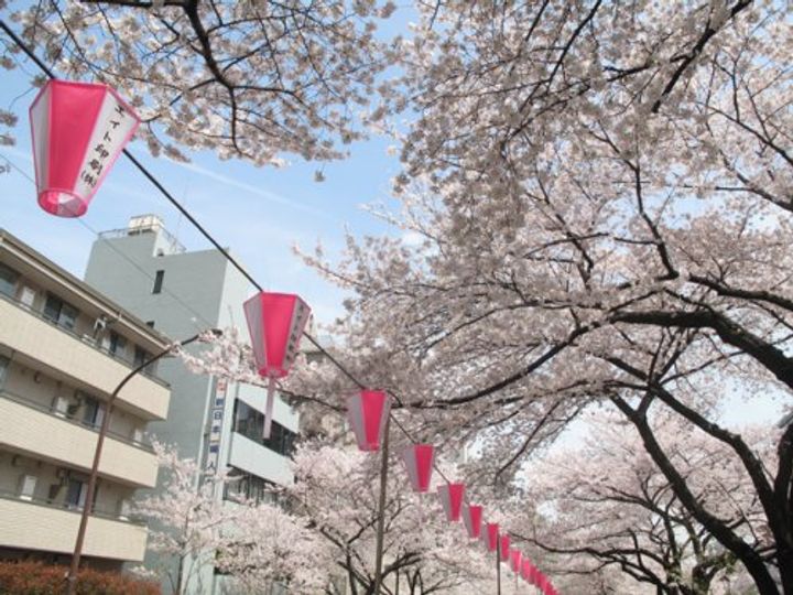 プランドール小日向Iの周辺