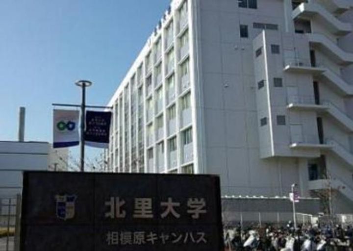 神奈川県相模原市南区北里1(アパート)の賃貸物件の周辺