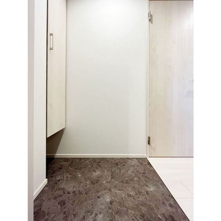 ルリアン西新宿の玄関