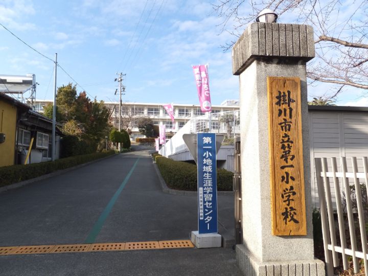 ライラックの周辺