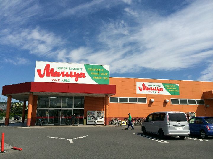 リーブルファイン大袋駅前の周辺