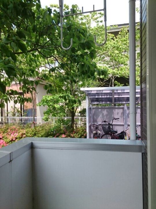 セカンドモールの内装