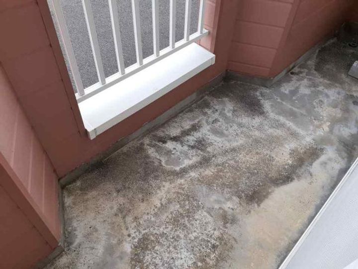 フォレステージAの内装