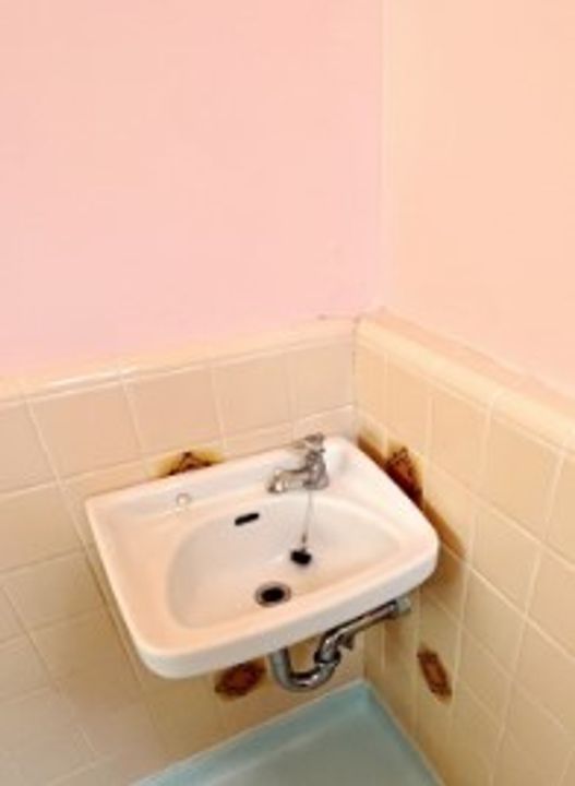 東京都小平市鈴木町1(アパート)の賃貸物件の内装