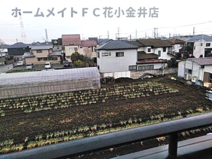 ブライトンパークのその他画像