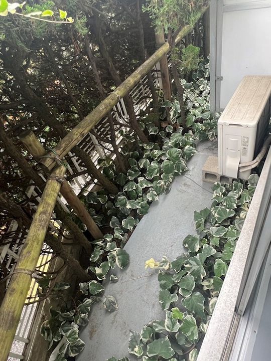 カーサST2の内装