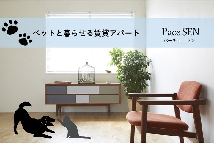 Pace SENのその他画像