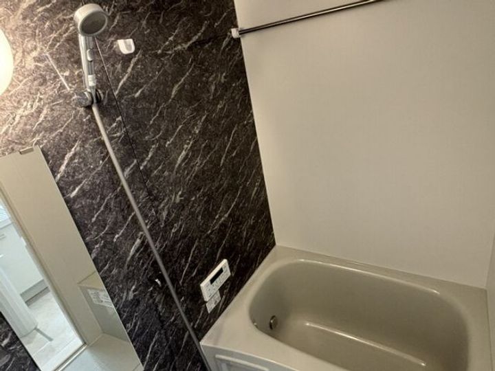 D Paina 桜ヶ丘の風呂