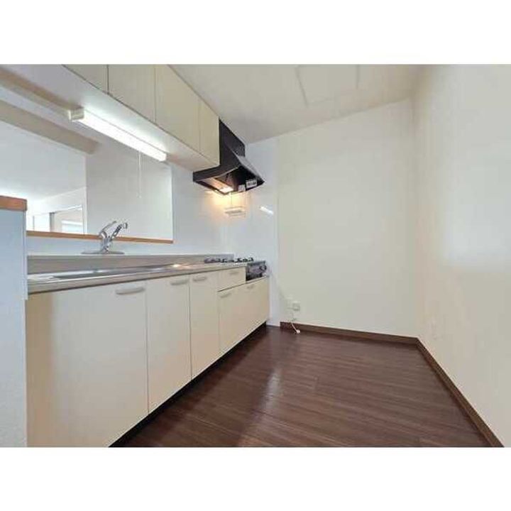 北海道札幌市中央区南十九条西16(アパート)の賃貸物件のキッチン