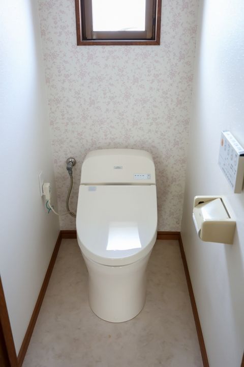 栃木県栃木市藤岡町大前(一戸建)の賃貸物件の内装