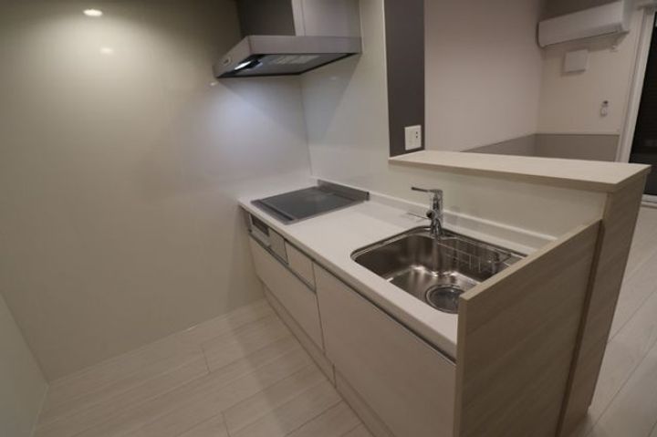 埼玉県草加市吉町1(アパート)の賃貸物件のキッチン