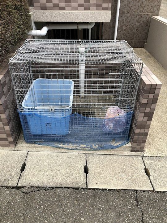 神奈川県藤沢市善行3の賃貸マンションの地図