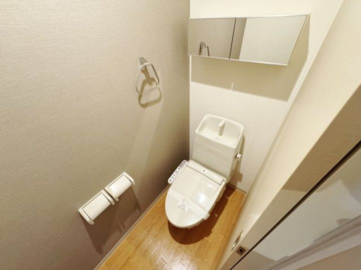 広島県広島市安佐南区川内1(アパート)の賃貸物件の内装