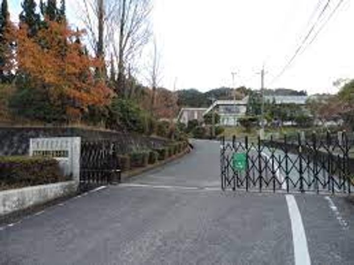 カーペンターハウスVの周辺