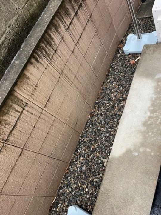 ジュネス野里の内装