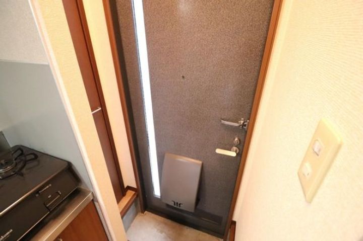 埼玉県深谷市緑ケ丘(アパート)の賃貸物件の玄関