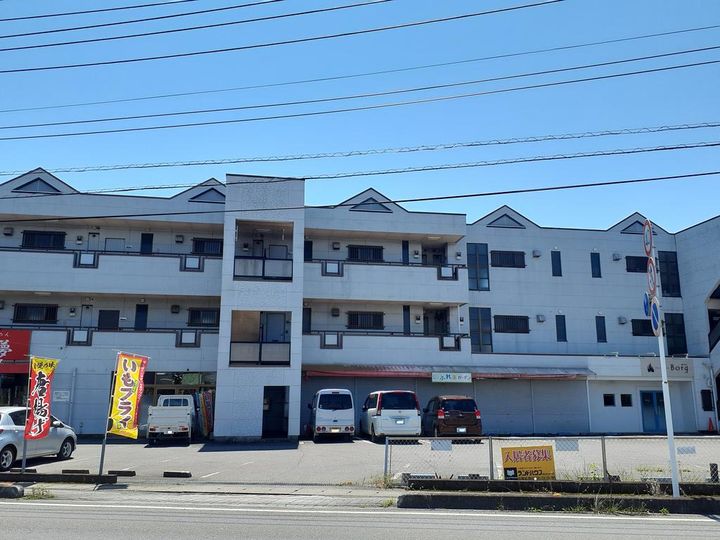 栃木県佐野市堀米町(マンション)の賃貸物件の外観