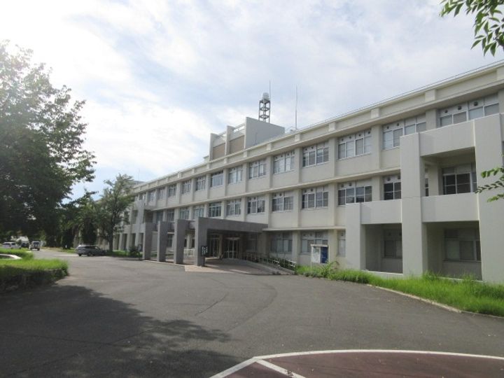 Wise Iwasakiの周辺