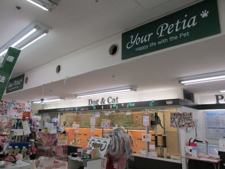 ブラン エ ノワールの周辺