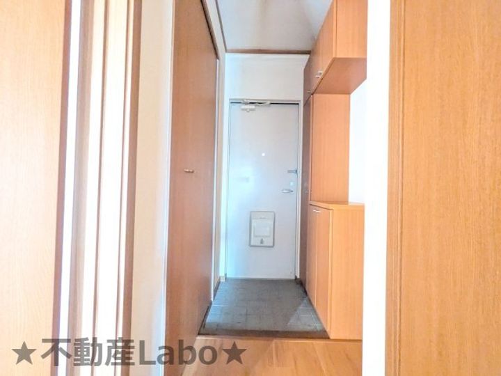 徳島県板野郡藍住町徳命字元村(アパート)の賃貸物件の玄関