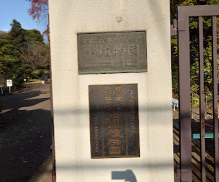 プライムアーバン本駒込の周辺