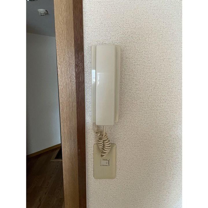 アレグリア黒髪のその他画像