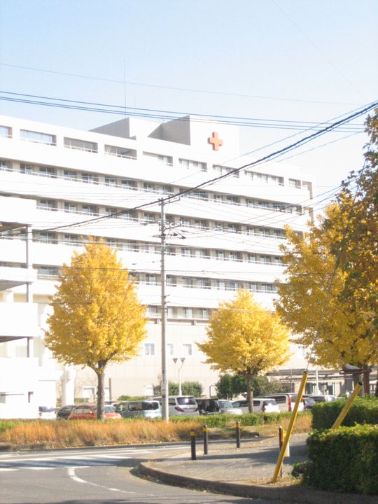 ハイムルピナスの周辺
