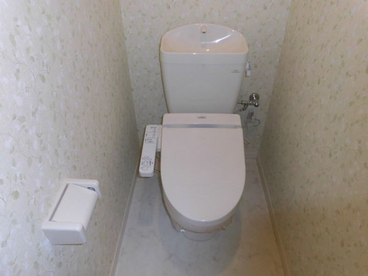 ルアーナ小鶴新田の内装