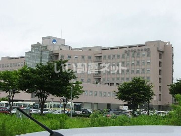 新潟県上越市平成町(アパート)の賃貸物件の周辺