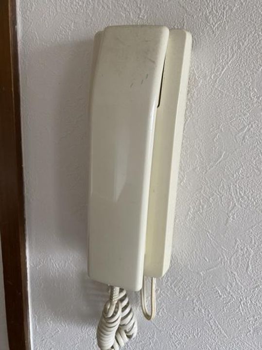 大阪府門真市古川町(マンション)の賃貸物件の玄関