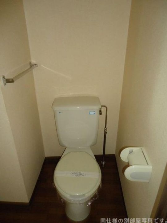 愛知県額田郡幸田町大字坂崎字西長根(マンション)の賃貸物件の内装