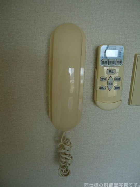 愛知県額田郡幸田町大字坂崎字西長根(マンション)の賃貸物件の内装