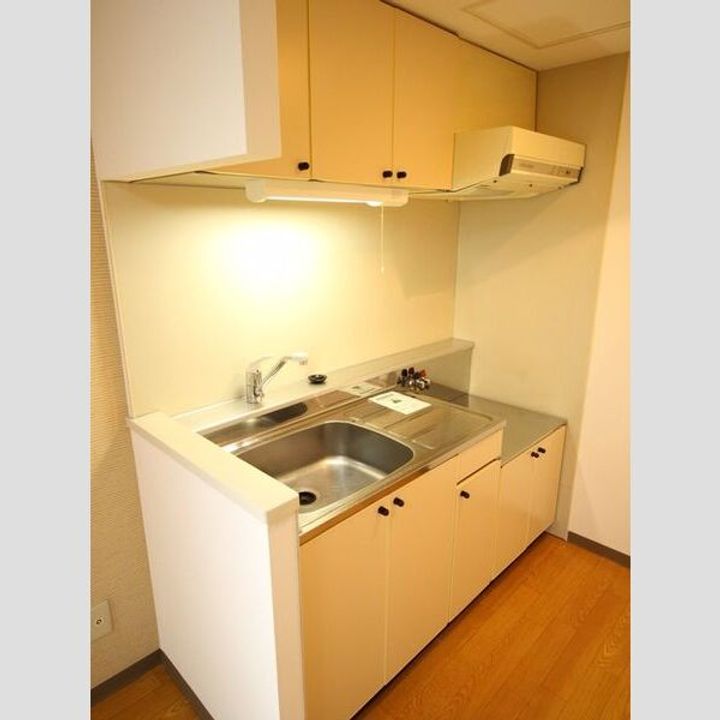 北海道札幌市北区新琴似八条1(マンション)の賃貸物件のキッチン