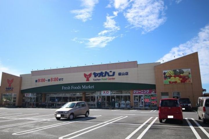 栃木県鹿沼市上殿町(一戸建)の賃貸物件の周辺