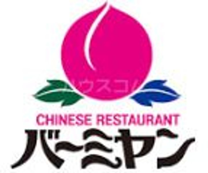 入間セイワレジデンスIIの周辺