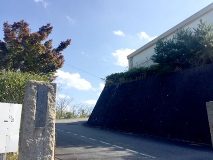 フェリシアの周辺