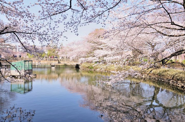 パークアベニュー鹿沼の周辺