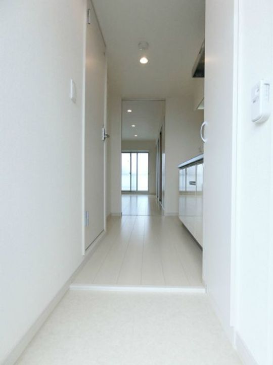 埼玉県吉川市高富1(マンション)の賃貸物件の玄関