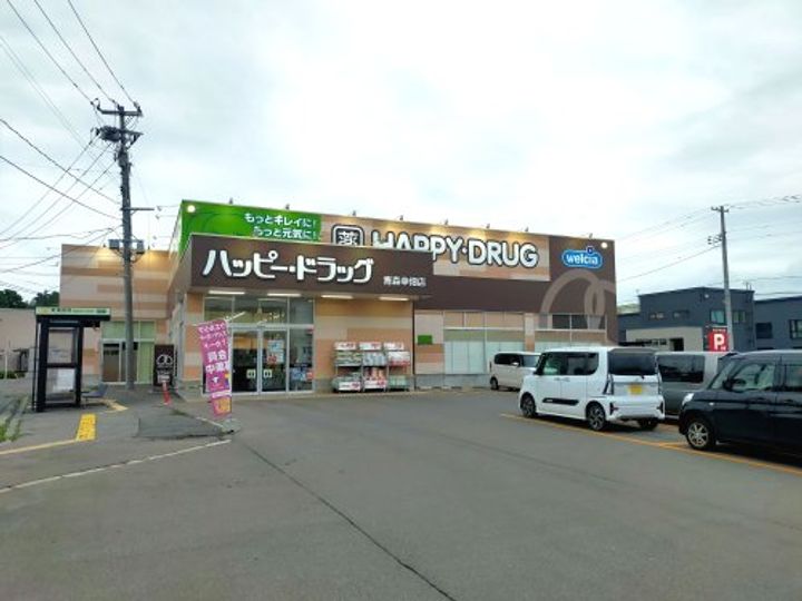 フルハウスラフレシヤの周辺