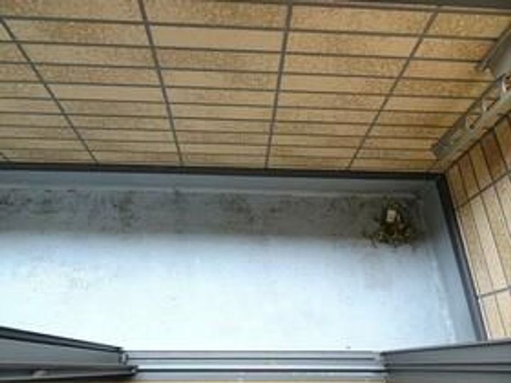 ドリーム八雲の内装