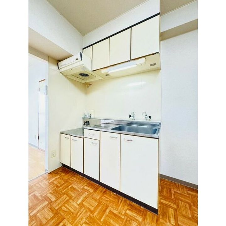 北海道札幌市中央区北三条東3(マンション)の賃貸物件のキッチン