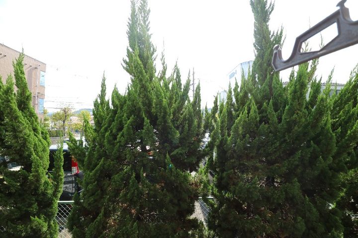 岡山県倉敷市笹沖(マンション)の賃貸物件のその他画像